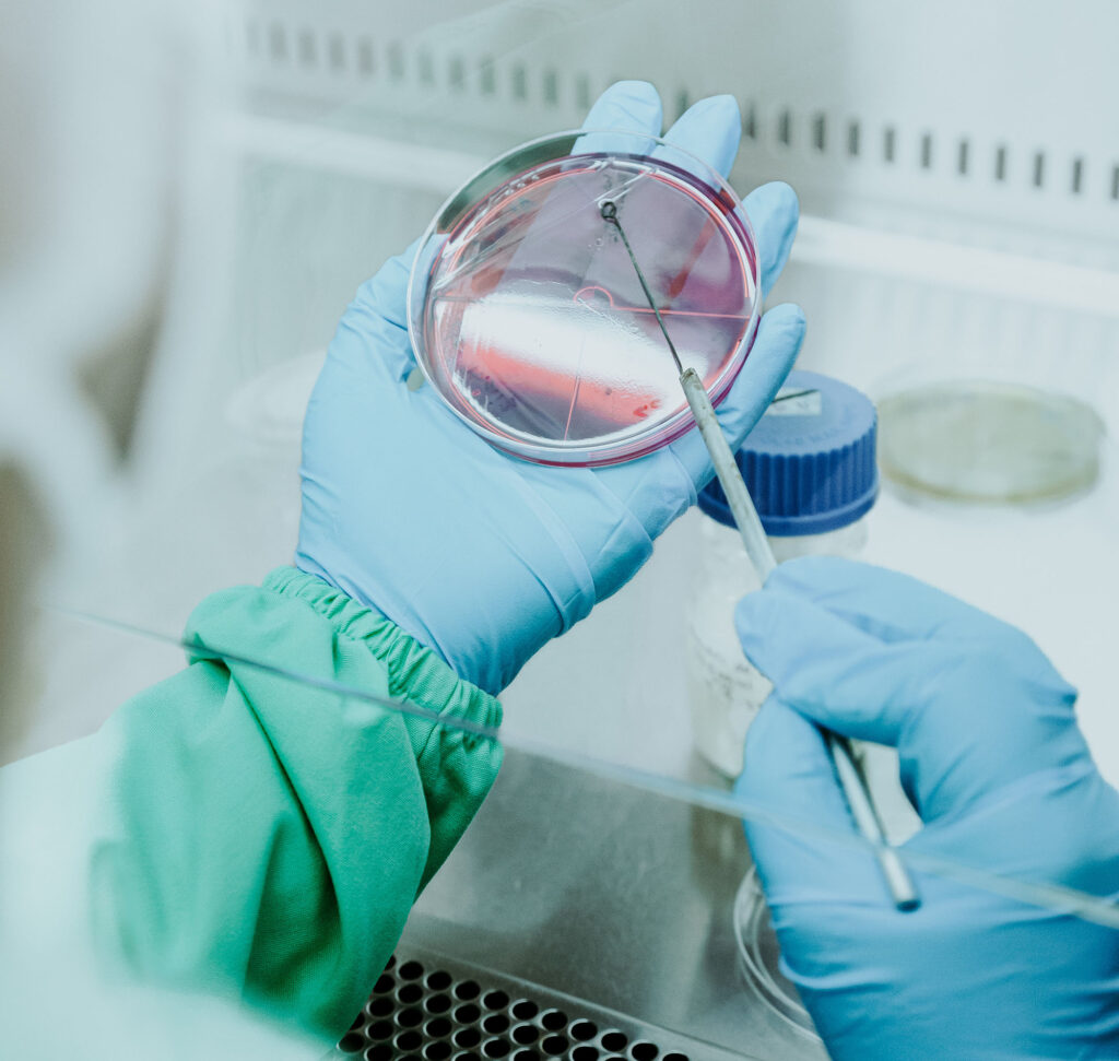 Especialista realizando análisis microbiológicos para control de calidad farmacéutico en Guatemala
